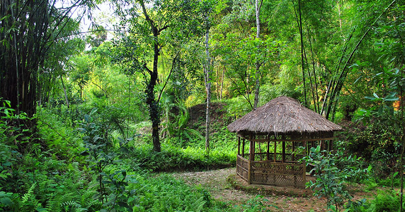 Khadimnagar National Park