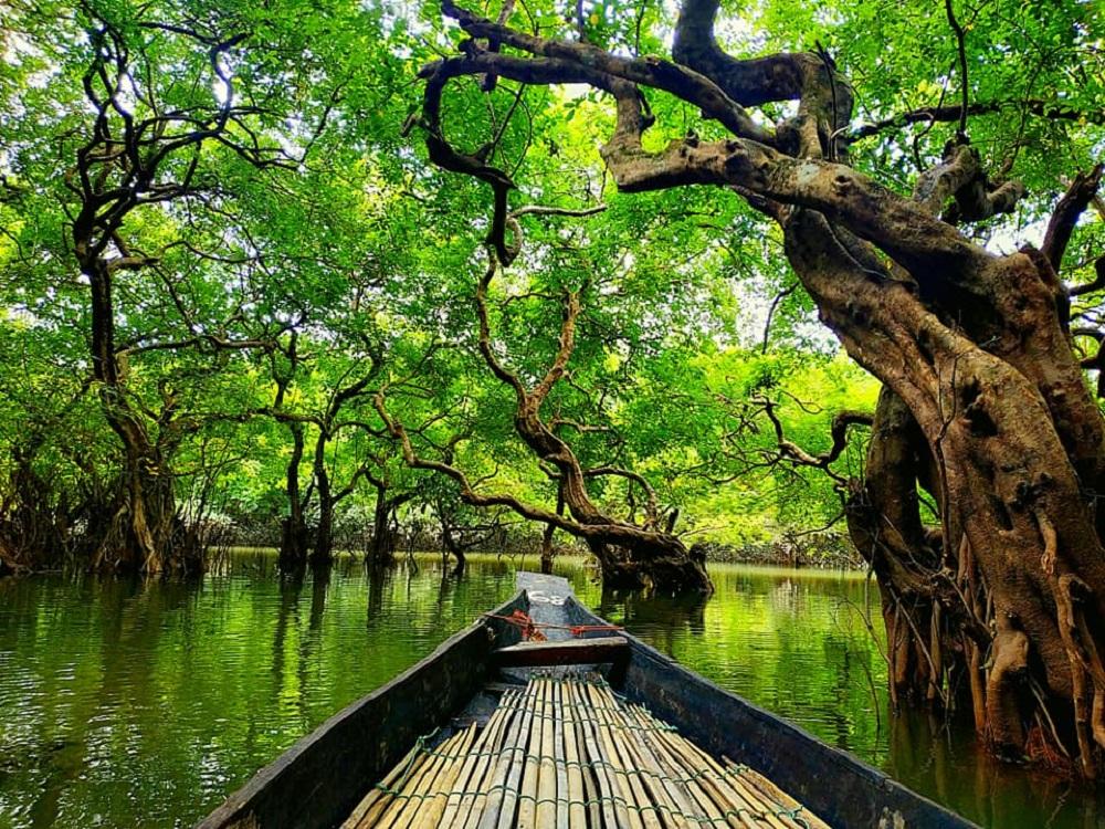 Sylhet tourist spot -Ratargul Swamp Forest